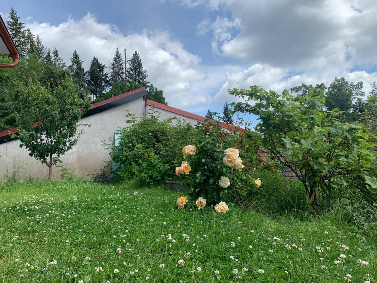 Cosy Family House With Garden, 12 Min From The Center Dom wakacyjny