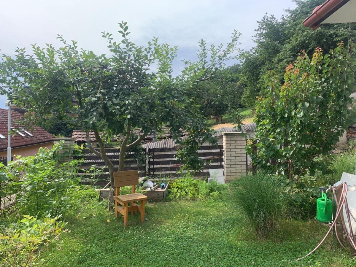 Cosy Family House With Garden, 12 Min From The Center Dom wakacyjny